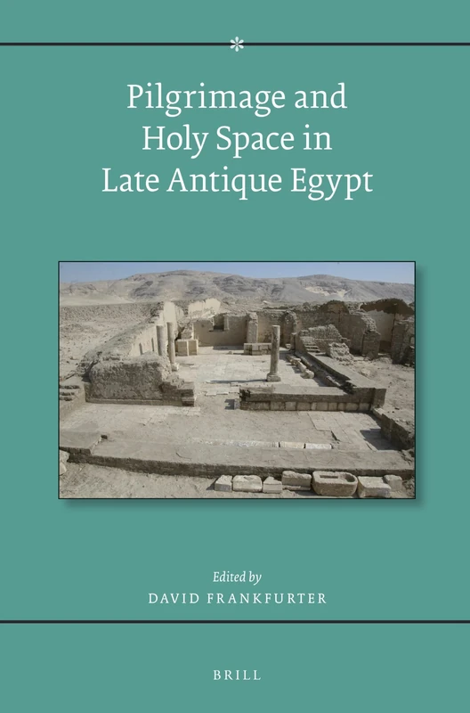 Pilgrimage and Holy Space in Late Antique Egypt: 134 (Religions in the Graeco-Roman World)