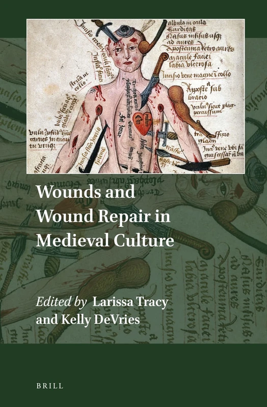 Wounds and Wound Repair in Medieval Culture: 1 (Explorations in Medieval Culture, 1)