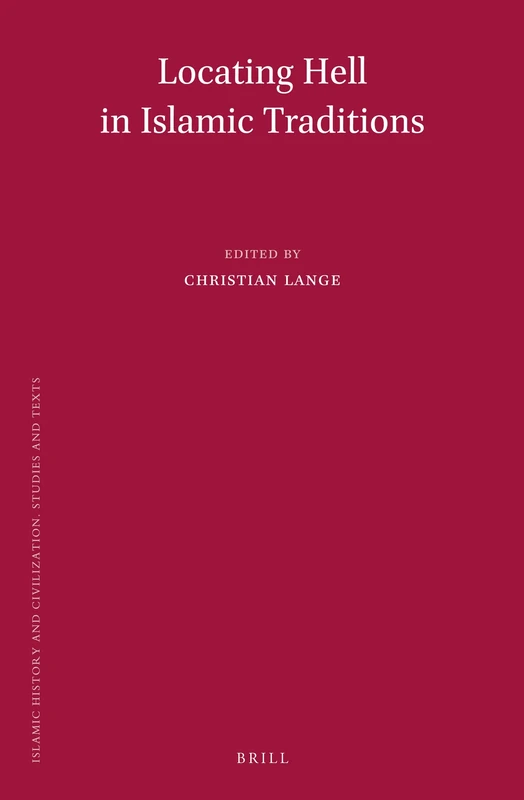 Locating Hell in Islamic Traditions: 119 (Islamic History and Civilization, 119)