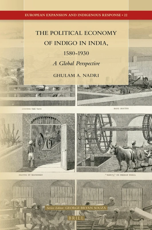 The Political Economy of Indigo in India, 1580-1930: A Global Perspective: 22 (European Expansion and Indigenous Response, 22)