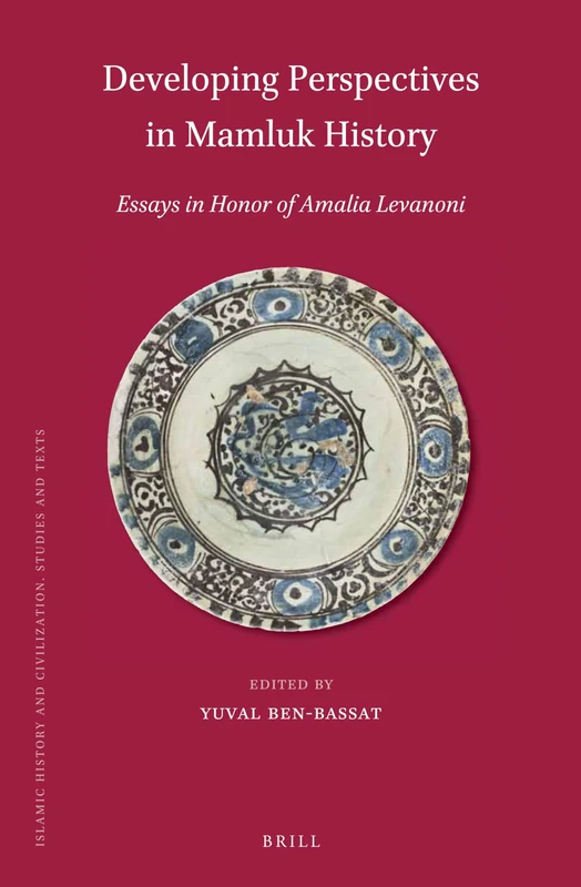 Developing Perspectives in Mamluk History: Essays in Honor of Amalia Levanoni: 143 (Islamic History and Civilization, 143)