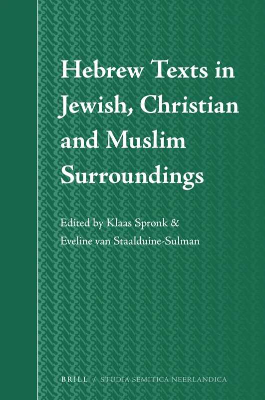Hebrew Texts in Jewish, Christian and Muslim Surroundings: 69 (Studia Semitica Neerlandica, 69)