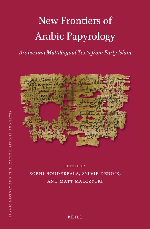 New Frontiers of Arabic Papyrology: Arabic and Multilingual Texts from Early Islam: 144 (Islamic History and Civilization, 144)