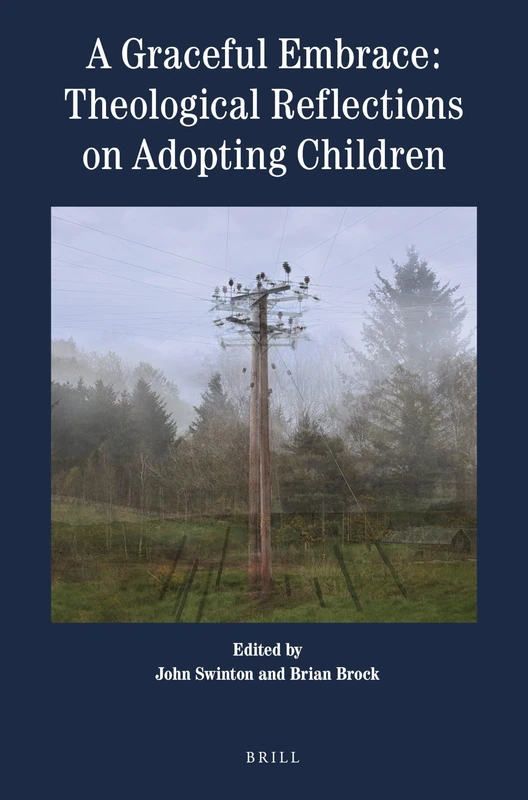 A Graceful Embrace: Theological Reflections on Adopting Children: 4 (Theology in Practice, 4) - Image 1