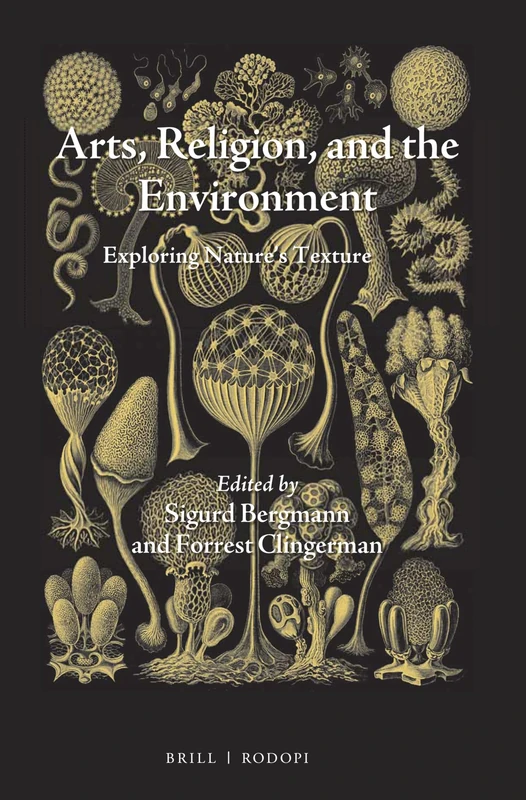 Arts, Religion, and the Environment: Exploring Nature's Texture: 6 (Studies in Environmental Humanities, 6)