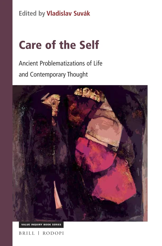 Care of the Self: Ancient Problematizations of Life and Contemporary Thought: 312 (Central European Value Studies, 312)