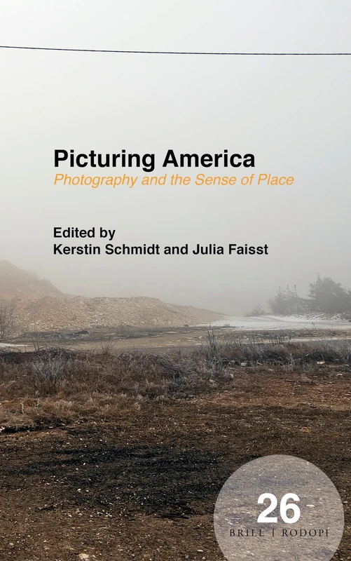 Picturing America: Photography and the Sense of Place: 26 (Spatial Practices, 26)