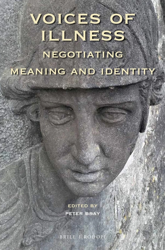 Voicess of Illness: Negotiating Meaning and Identity: 120 (At the Interface / Probing the Boundaries, 120)