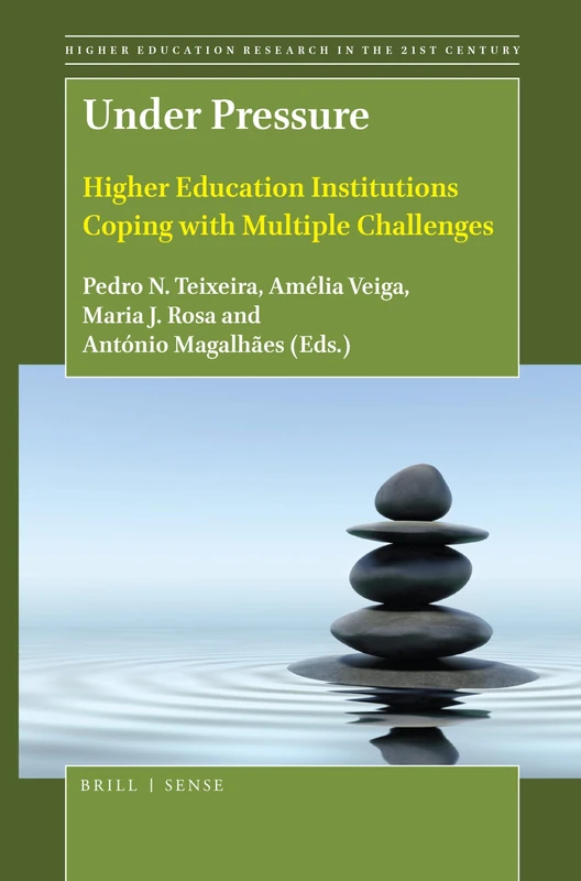 Under Pressure: Higher Education Institutions Coping with Multiple Challenges: 11 (Higher Education Research in the 21st Century Series, 11)
