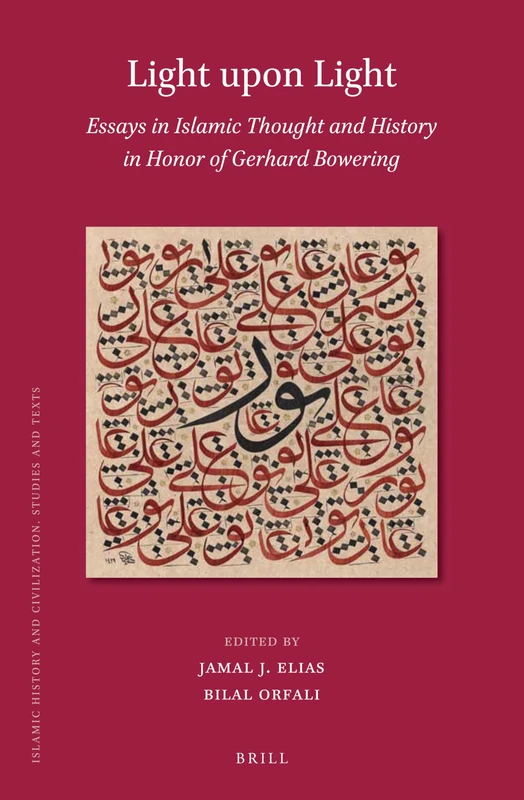 Light upon Light: Essays in Islamic Thought and History in Honor of Gerhard Bowering: 164 (Islamic History and Civilization, 164)