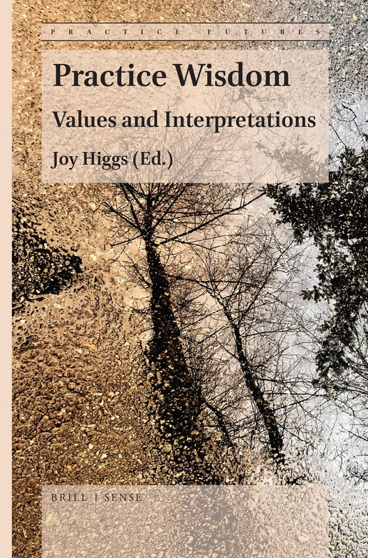 Practice Wisdom: Values and Interpretations: 3 (Practice Futures, 3)