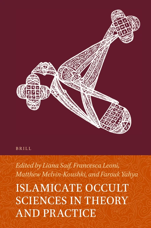 Islamicate Occult Sciences in Theory and Practice: 140 (Handbook of Oriental Studies. Section 1 The Near and Middle East, 140)