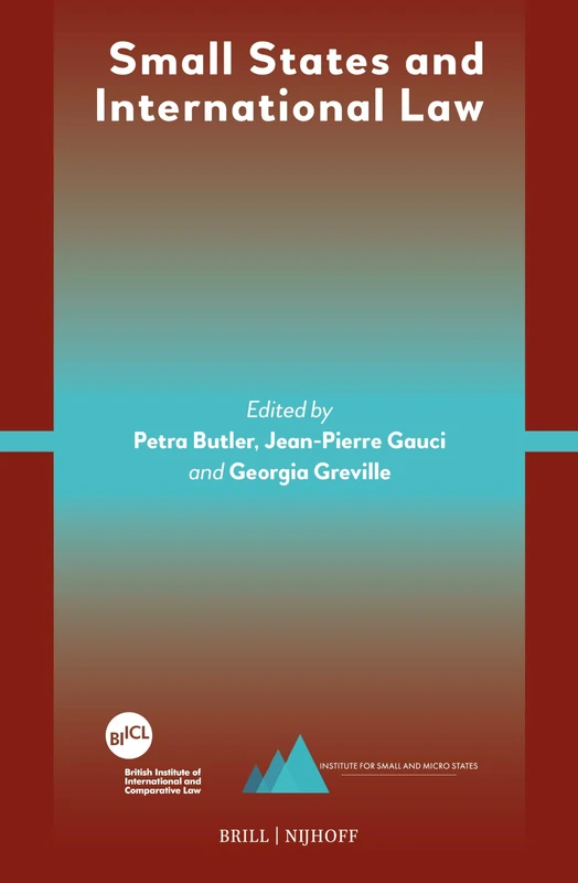 Small States and International Law - Image 1