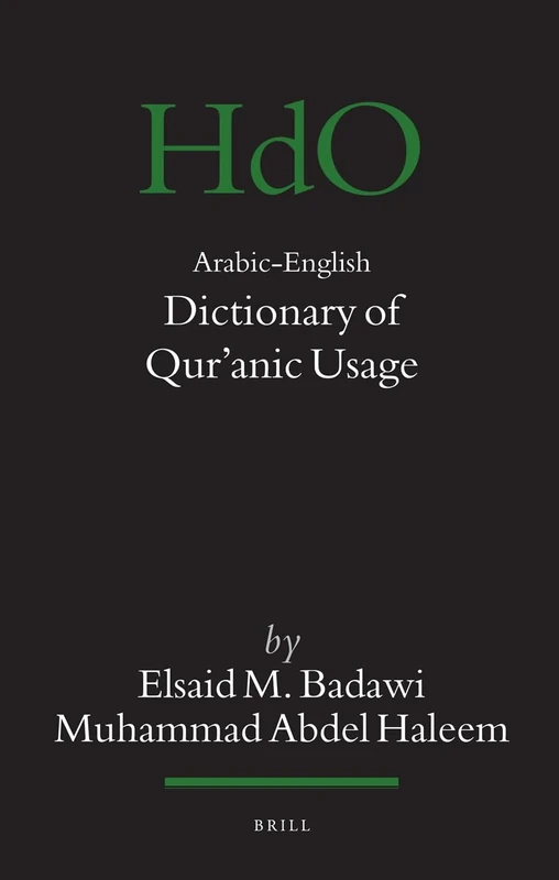Arabic-English Dictionary of Qur'anic Usage: 85 (Handbook of Oriental Studies: Section 1; The Near and Middle East)