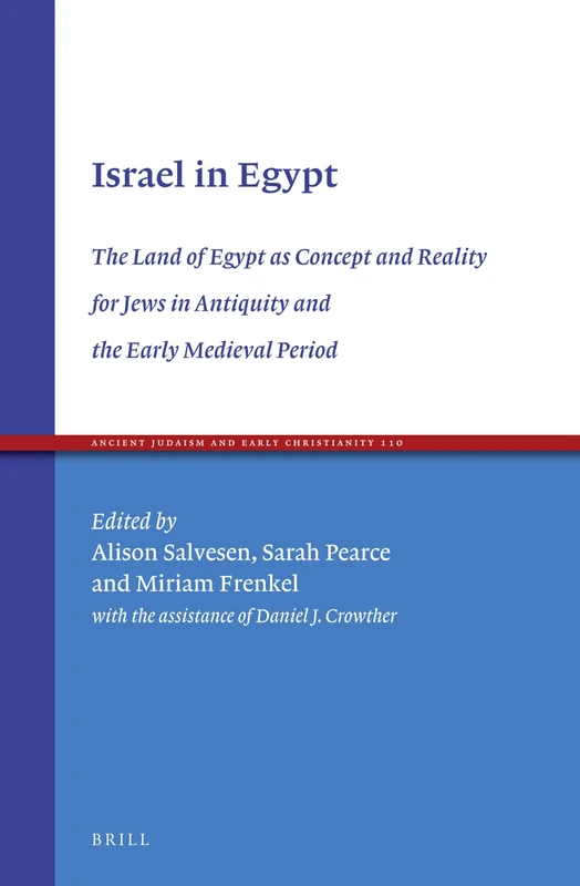 Israel in Egypt: The Land of Egypt as Concept and Reality for Jews in Antiquity and the Early Medieval Period: 110 (Ancient Judaism and Early Christianity, 110)