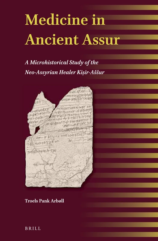 Medicine in Ancient Assur: A Microhistorical Study of the Neo-Assyrian Healer Kiṣir-Aššur: 18 (Ancient Magic and Divination, 18)