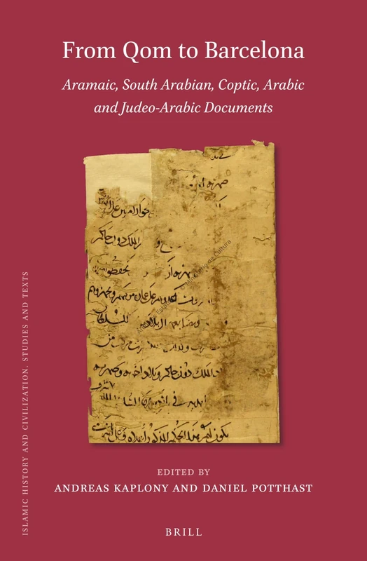 From Qom to Barcelona: Aramaic, South Arabian, Coptic, Arabic and Judeo-Arabic Documents: 178 (Islamic History and Civilization, 178)