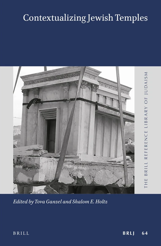 Contextualizing Jewish Temples: 64 (The Brill Reference Library of Judaism, 64)
