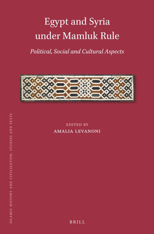 Egypt and Syria under Mamluk Rule: Political, Social and Cultural Aspects: 181 (Islamic History and Civilization, 181)