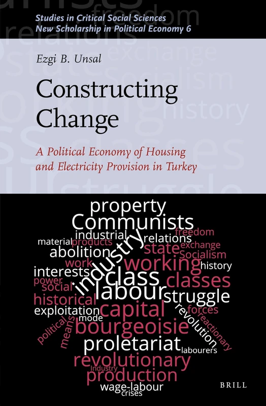 Constructing Change: A Political Economy of Housing and Electricity Provision in Turkey: 188/06 (New Scholarship in Political Economy, 188/06)