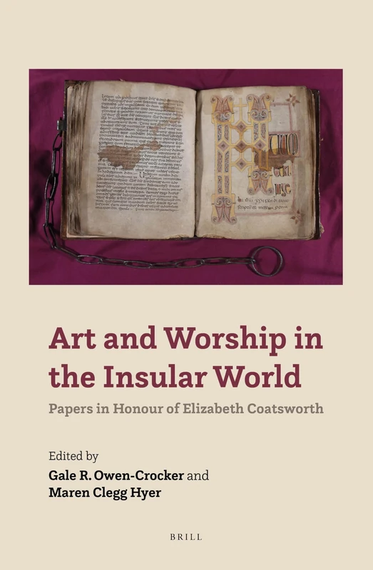 Brill Art and Worship in the Insular World - Elizabeth Coatsworth