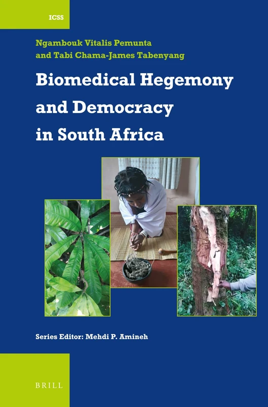 Biomedical Hegemony and Democracy in South Africa: 51 (International Comparative Social Studies, 51)