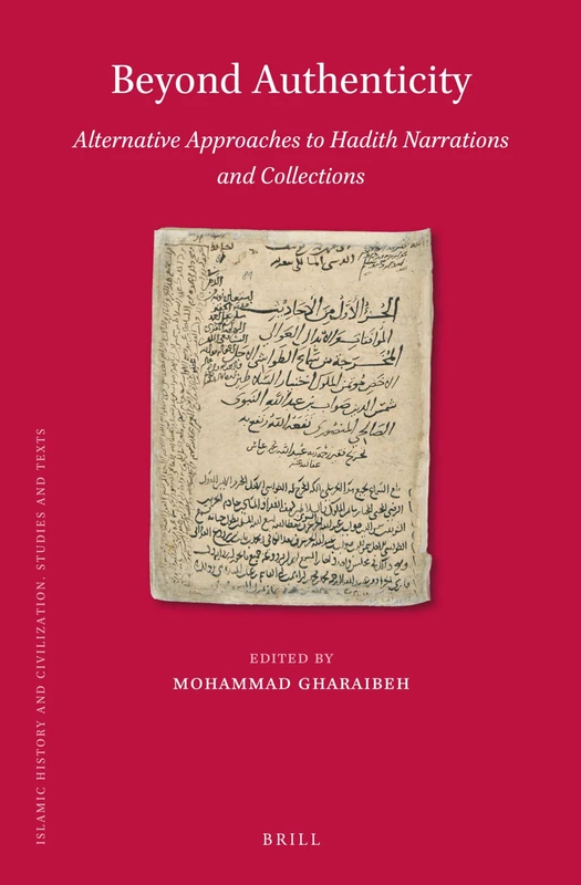Beyond Authenticity, Alternative Approaches to Hadith Narrations and Collections: 203 (Islamic History and Civilization, 203)