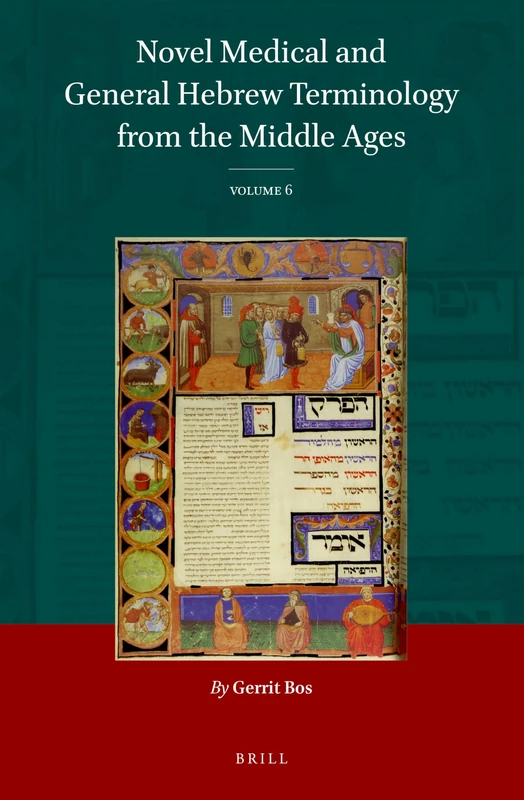 Novel Medical and General Hebrew Terminology from the Middle Ages: Volume 6