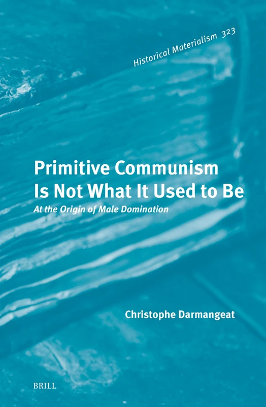 Primitive Communism Is Not What It Used to Be: At the Origin of Male Domination: 323 (Historical Materialism Book Series, 323) - Image 1