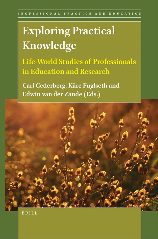 Exploring Practical Knowledge: Life-World Studies of Professionals in Education and Research: 3 (Professional Practice and Education, 3)