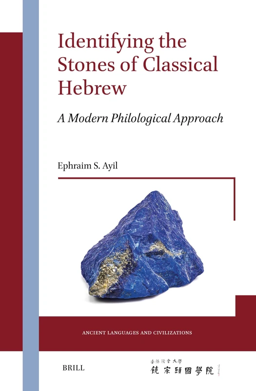 Identifying the Stones of Classical Hebrew (7): A Modern Philological Approach (Ancient Languages and Civilizations)