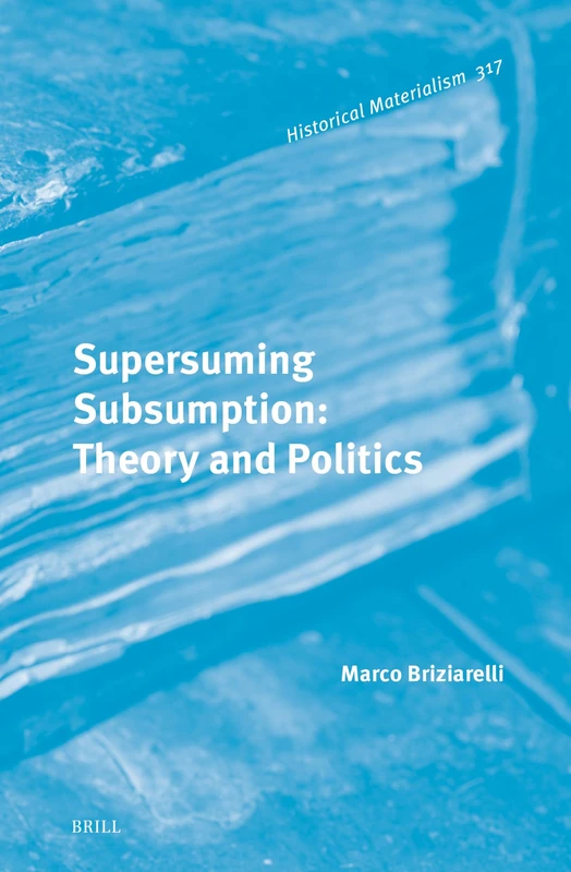 Supersuming Subsumption: Theory and Politics: 317 (Historical Materialism Book Series, 317)
