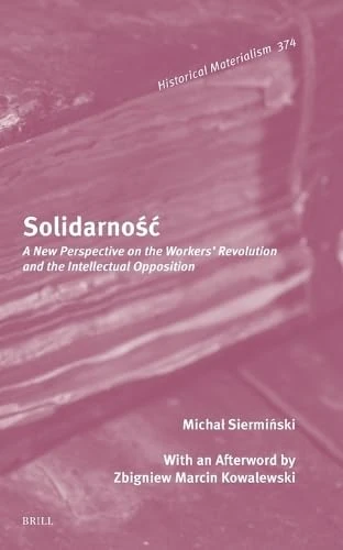 Solidarność: A New Perspective on the Workers' Revolution and the Intellectual Opposition: 374 (Historical Materialism Book Series, 374)