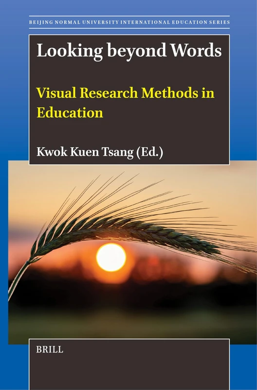 Looking beyond Words: Visual Research Methods in Education: 4 (Beijing Normal University International Education Series, 4)