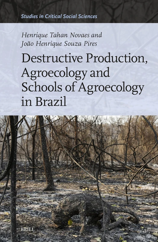 Destructive Production, Agroecology and Schools of Agroecology in Brazil: 292 (Studies in Critical Social Sciences, 292)