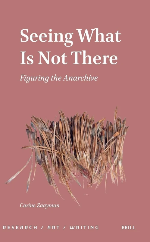 Seeing What Is Not There: Figuring the Anarchive: 3 (Research / Art / Writing, 3)