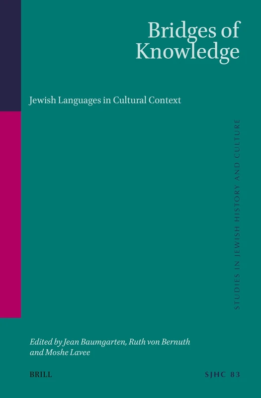 Bridges of Knowledge: Jewish Languages in Cultural Context: 83 (Studies in Jewish History and Culture, 83)