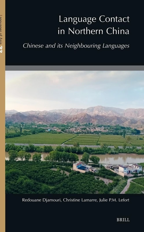 Language Contact in Northern China: Chinese and its Neighbouring Languages: 32 (Languages of Asia, 32)