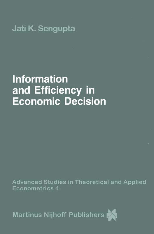 Information and Efficiency in Economic Decision: 4 (Advanced Studies in Theoretical and Applied Econometrics, 4)