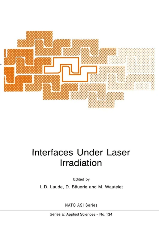 Interfaces Under Laser Irradiation: 134 (NATO Science Series E:, 134)