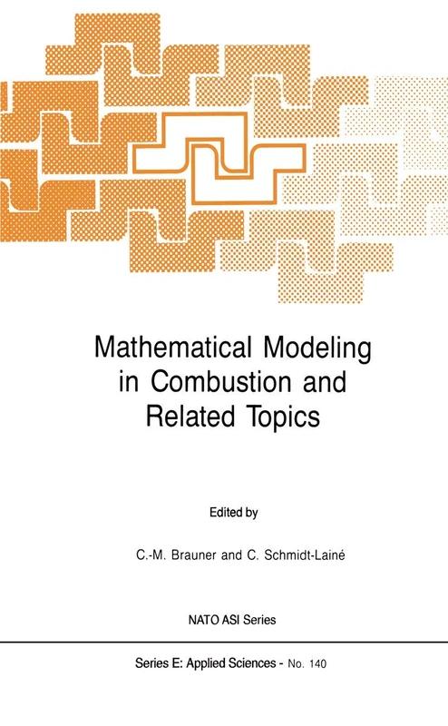 Mathematical Modeling in Combustion and Related Topics: 140 (NATO Science Series E:, 140)