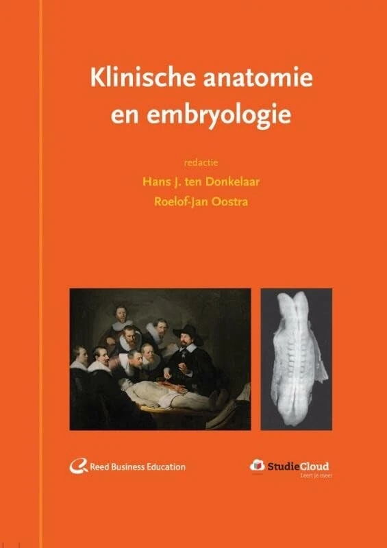 Klinische anatomie en embryologie - Image 1