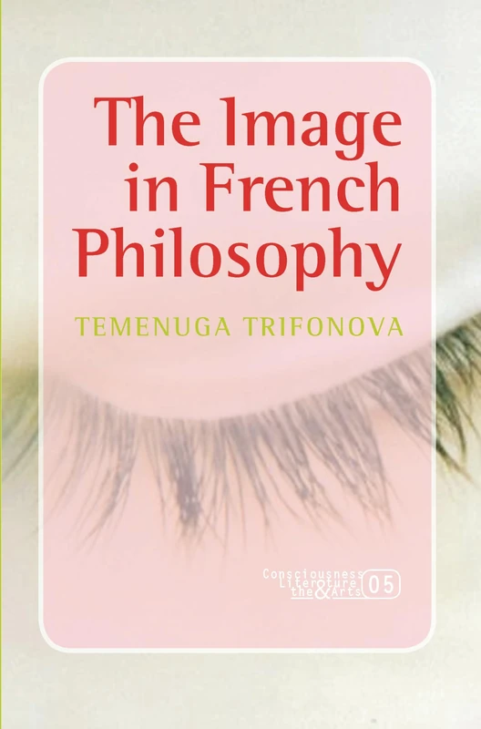 The Image in French Philosophy: 5 (Consciousness, Literature and the Arts, 5)