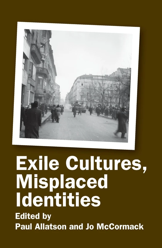 Exile Cultures, Misplaced Identities: 30 (Critical Studies, 30)