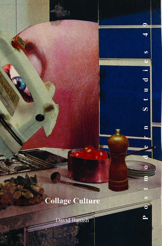 Collage Culture: Readymades, Meaning, and the Age of Consumption: 49 (Postmodern Studies, 49)