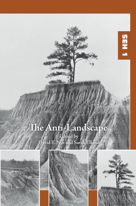 The Anti-Landscape: 1 (Studies in Environmental Humanities, 1) - Image 1