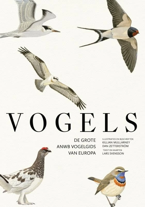Vogels: De grote ANWB vogelgids van Europa - Image 1