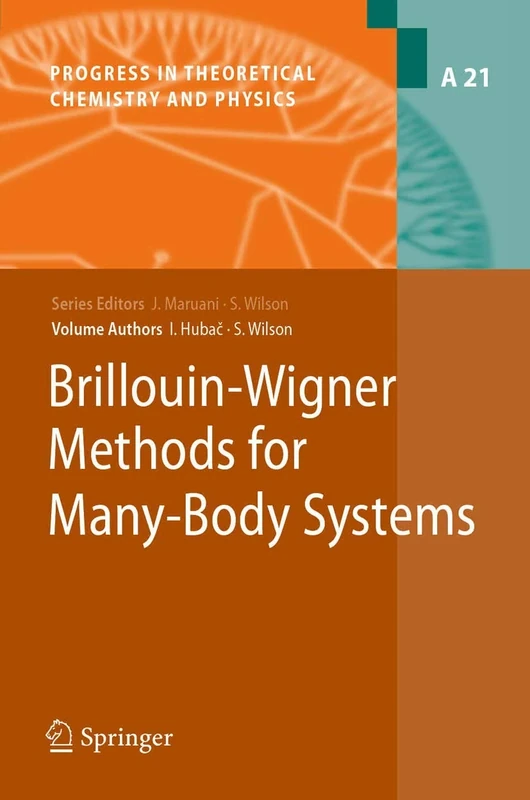 Brillouin-Wigner Methods for Many-Body Systems: 21 (Progress in Theoretical Chemistry and Physics, 21)