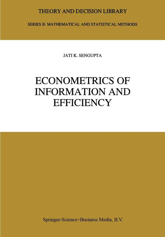 Econometrics of Information and Efficiency: 25 (Theory and Decision Library B, 25)