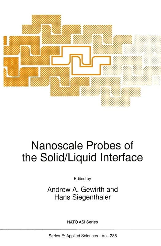 Nanoscale Probes of the Solid/Liquid Interface: 288 (NATO Science Series E:, 288)